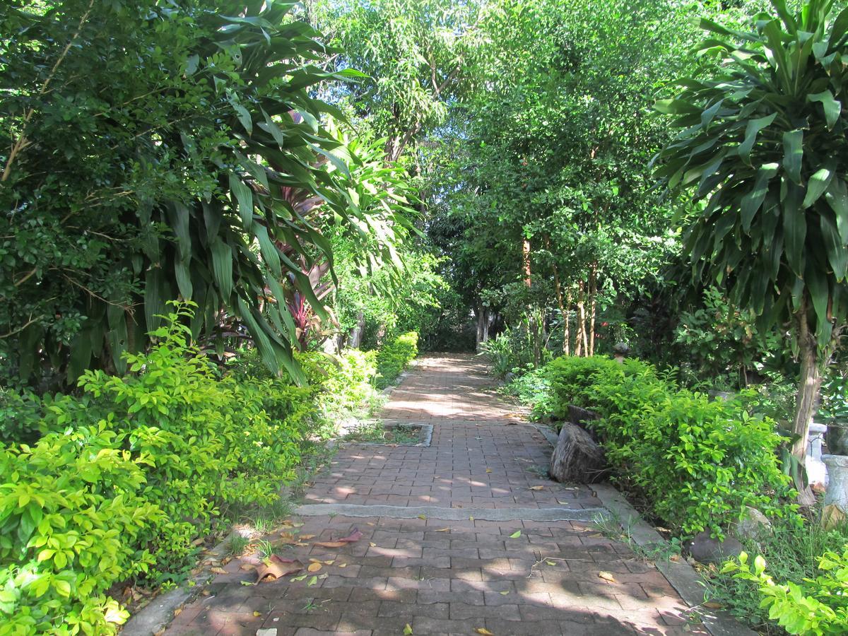 Backpackers And Travellers Hostel Neiva  Extérieur photo