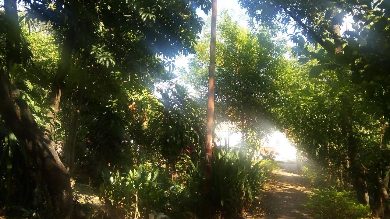 Backpackers And Travellers Hostel Neiva  Extérieur photo